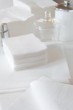 SERVIETTES OUATE 20X20 BLANC - LOT DE 4000 2 PLIS
